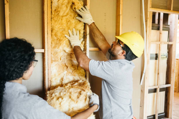 Best Energy-efficient Insulation  in Yale, OK